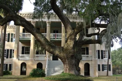 Step into beaufort’s past on a minibus tour of antebellum homes, civil war stories, and famous movie locations—includes air-conditioned ride and local guide.