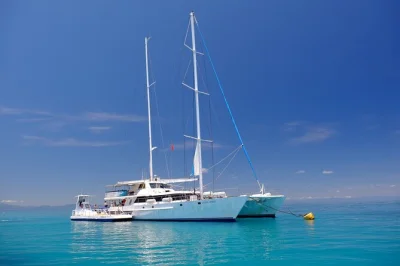 Siente la brisa navegando desde cairns a michaelmas cay, haz snorkel con tortugas, disfruta un buffet y relájate con vino espumoso en el regreso. incluye equipo y guía biólogo marino.