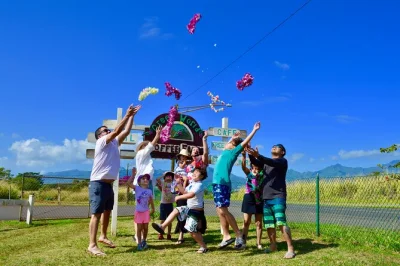 Discover oahu’s north shore, dole plantation, lanikai beach & hidden gems on a private full day tour. custom itinerary, local eats, turtles, & pro guide.