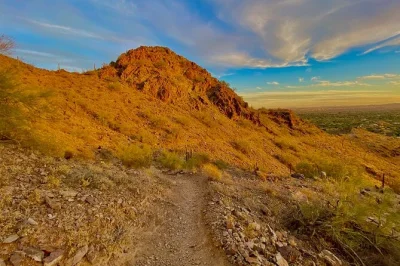 Erlebe die sonoran desert in phoenix hautnah bei einer geführten wanderung mit snacks, kühlen getränken und flexiblen routen. rucksack, sonnencreme und ein lokaler guide inklusive.