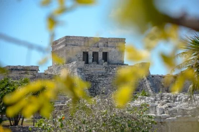 Scopri le rovine a picco sul mare di tulum, fai snorkeling tra i colorati reef caraibici e rinfrescati in un cenote nascosto nella giungla. guida privata, trasporto e pranzo con tacos inclusi.