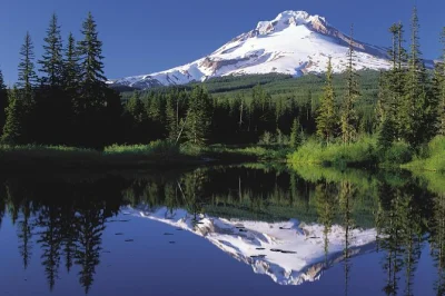 Feel the spray at multnomah falls, explore timberline lodge on mt hood, and wander hood river’s lively streets. includes pickup and local guide from portland.