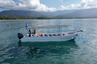 Veja baleias jubarte, golfinhos brincalhões e aves marinhas em bahia ballena. inclui passeio de barco, snorkel ou banho, lanches e guia local. garanta sua vaga agora.