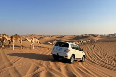 Feel the dubai desert with dune bashing, camel rides, live bbq dinner & shows. includes hotel pickup, drinks & local guide. book your evening desert adventure.