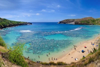 Descubra os sabores de oahu e seus pontos icônicos num tour gastronômico de dia inteiro saindo de waikiki, com almoço de camarão ao alho, parada na dole plantation e transporte incluso.