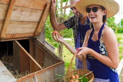 Start your chiang mai morning with a real thai cooking class—shop local markets, collect eggs on an organic farm, and cook classic dishes with small group pickup.
