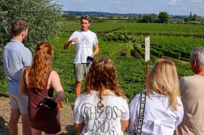 Feel the history of lazise’s garda vineyards, taste six local wines with cheese and cold cuts, walk the vines, and learn from a family with 100 years’ tradition. includes tasting room session.