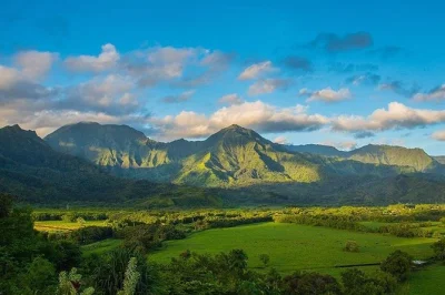 Descubra kauai pelos cenários de filmes famosos, de opaekaa falls a hanalei, com guia local e transporte do hotel para um passeio tranquilo.