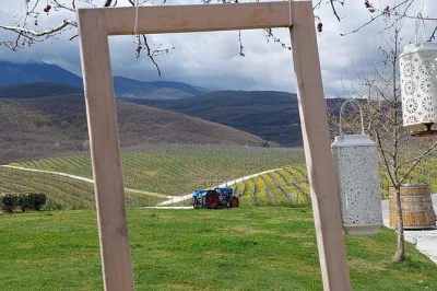 Scopri i vigneti di naoussa, i vini locali, le cascate e il parco agios nikolaos in un tour privato di un giorno da salonicco. include pick-up e guida.