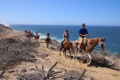 Vivi l’aria del deserto con una passeggiata a cavallo guidata al rancho san cristobal, scopri il secondo arco di los cabos e gusta quesadillas fresche. include pick-up e guida locale.