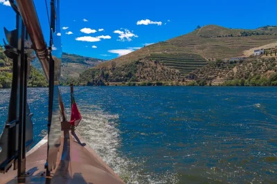 Découvrez la vallée du douro au portugal avec une visite privée des vignobles, un déjeuner au bord du fleuve et une croisière panoramique en bateau. prise en charge à l’hôtel de porto incluse