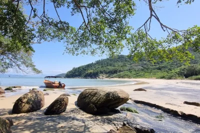 Bombinhas, zimbros, praias desertas e trilha: viva um passeio de barco por 10 praias quase intocadas, banho de cachoeira, fazenda de ostras e fotos inclusas.