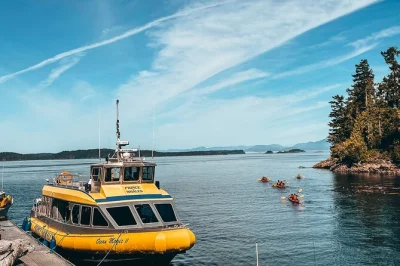 Découvrez les baleines près de telegraph cove avec des guides locaux passionnés. café, photos offertes et garantie d’observation pour une expérience sereine.