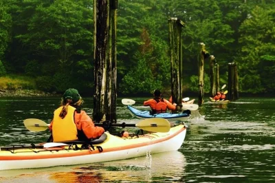 Découvrez ucluelet harbour en kayak, observez aigles et ours, et plongez dans l’histoire de la baie. matériel fourni, guide local et activités adaptées aux familles.