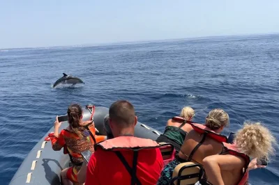 Algarve, grutas de benagil e observação de golfinhos com bióloga marinha. navegue, nade em águas cristalinas e aproveite um passeio autêntico e pet friendly.