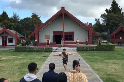 Sinta o calor dos gêiseres de te puia em rotorua, caminhe por terraços antigos e conheça guias maori. inclui traslado do porto, comentários ao vivo e ingressos.