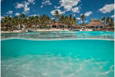 Scopri le rovine di tulum sul mare, nuota con le tartarughe ad akumal e rilassati in un cenote, tutto con trasporto privato e guida locale. pranzo e attrezzatura inclusi.