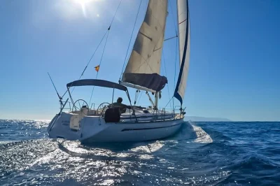 Scopri l’aria salmastra di los gigantes navigando in piccolo gruppo, avvista delfini e balene e fai snorkeling in calette tranquille—con snack, bevande e skipper locale esperto.