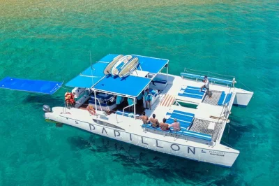 Vivi l’esperienza di una crociera privata in catamarano a cabo san lucas, con snorkeling nel mar di cortez, open bar, paddleboard e pranzo incluso, con pick-up dall’hotel.