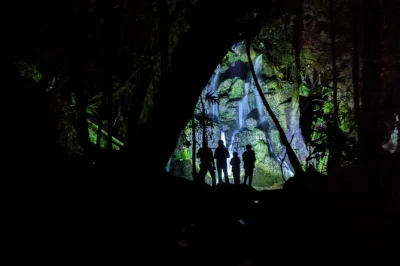 Esplora la foresta di rotorua di notte con una passeggiata tra vermi luminosi, suoni della natura e osservazione delle stelle. tour in piccolo gruppo con guida locale e pick-up incluso.