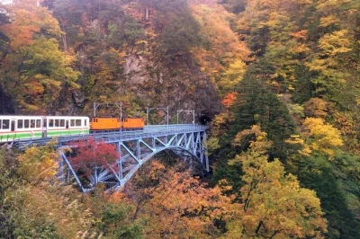 Scopri le terme di unazuki onsen, viaggia sul trenino di kurobe gorge e cammina lungo antichi sentieri con una guida locale. trasporto e pranzo inclusi.