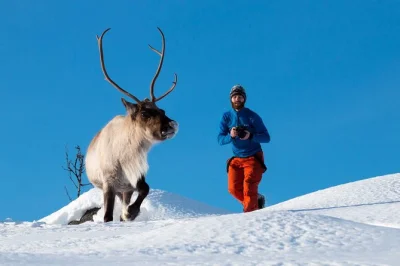 Feel the wild edge of norway on a tromso day trip—capture arctic landscapes, spot reindeer or seabirds, and warm up with pastries. includes local guide & photos.