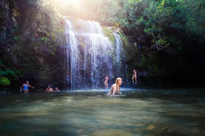 Erlebe die frische gischt der kohala wasserfälle, wandere auf alten pfaden und genieße ein privates picknick mit talblick. inkl. abholung, kleine gruppe & lokaler guide.