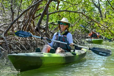 Partez en kayak à rookery bay près de naples & marco island, explorez les tunnels de mangroves avec des biologistes locaux, observez la faune, profitez de photos offertes et de l’entrée au centre