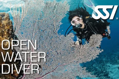 Obtenha sua certificação com um curso de mergulho open water de 3 dias em koh samui. mergulhe em uma piscina profissional, explore pontos locais e conquiste sua licença internacional.