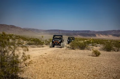 Sinta a energia do deserto de mojave em um passeio guiado de polaris rzr, troque de motorista, admire as árvores joshua e aproveite o transfer do hotel. inclui lanches e todo o equipamento de seguran