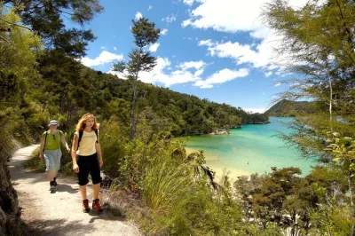 Start your abel tasman adventure with a guided kayak to observation beach, spot seals at adele island, and hike the coastal track. includes lunch and all gear.