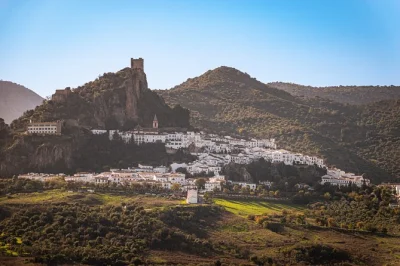 Descubra o charme da andaluzia num passeio privado de sevilha a ronda e às aldeias brancas, com paradas em padarias locais, roteiro flexível e traslado do hotel incluído.