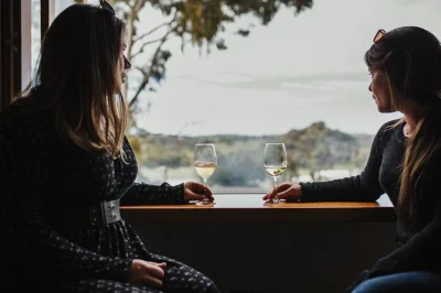 Assaggia vini rari e nuove annate nella clare valley. degustazione guidata in una cantina a conduzione familiare. accessibile in sedia a rotelle, aperto a tutte le età. prenota ora.