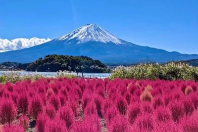 Acorde diante da imponência silenciosa do monte fuji, caminhe entre flores no parque oishi, suba os degraus da pagoda chureito — guia particular, motorista certificado e traslado do hotel inclusos.