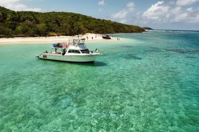 Float over culebra’s reefs, relax on white sand beaches like flamenco, and share a fresh lunch with drinks—all guided by locals and includes snorkeling gear.