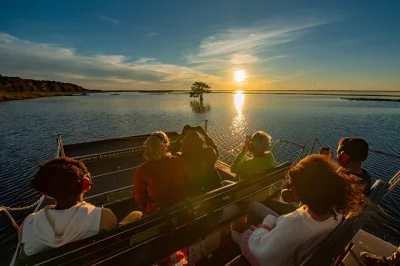 Vivi l’emozione di un giro in airboat al tramonto a orlando, tra animali selvatici e la guida esperta del capitano. tour di un’ora con attrezzatura di sicurezza inclusa.