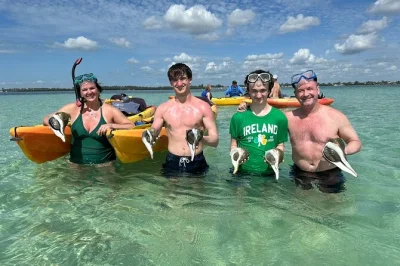 Descubre la costa de florida en kayak, avista delfines y manatíes, haz snorkel en aguas cristalinas y recoge conchas. todo el equipo incluido y opciones para grupos flexibles.