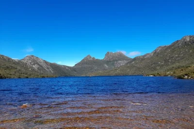 Wake up early in hobart for a real tasmanian road trip—breakfast in deloraine, hike cradle mountain trails, spot wombats, and relax by dove lake. includes entry & guide.