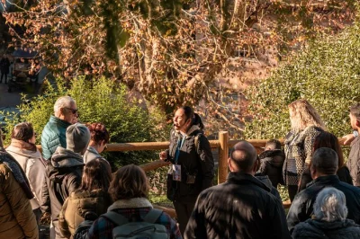 Scopri sintra con un tour a piedi tra palazzi, giardini nascosti e dolci leggendari, accompagnato da una guida locale appassionata. storie, soste e assaggi inclusi.