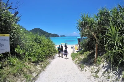 Nuota sulle spiagge di tokashiki, fai snorkeling con le tartarughe marine e gusta un pranzo locale. include traghetto a/r da naha e trasporti sull’isola.