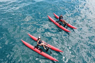 Pedal a water bike along maui’s makena bay shoreline, spot marine life, and catch rare black sand beach views. includes guide, bottled water, and all gear.