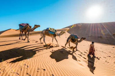Experience a 3-day morocco desert tour from marrakech to fes. ride camels, sleep in a merzouga camp, visit ait ben haddou & atlas mountains. book now.
