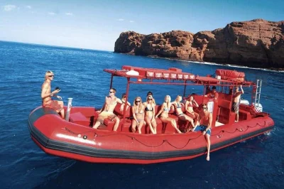 Swim at molokini crater, spot sea turtles at turtle town, and cruise maui’s coast with a local guide. includes breakfast, deli lunch, and all snorkeling gear.