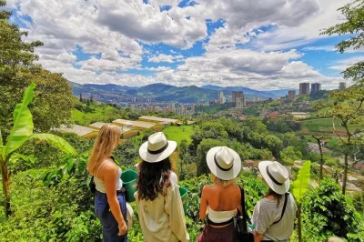 Wake up your senses on a medellin coffee farm tour with hands-on picking, roasting, and tasting. includes hotel pickup, local guide, and homemade snack.