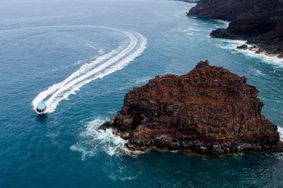 South kona entdecken: schnorcheln in der kealakekua bay, meereshöhlen und schwarzer sandstrand. inklusive ausrüstung, lunch, snacks & lokale guides – nur handtuch mitbringen.