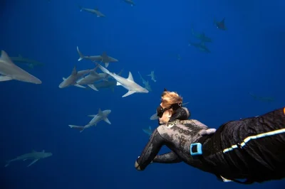 Feel your heart race as you swim with sharks off haleiwa, guided by real marine biologists. learn shark behavior, join live data collection, and support conservation.