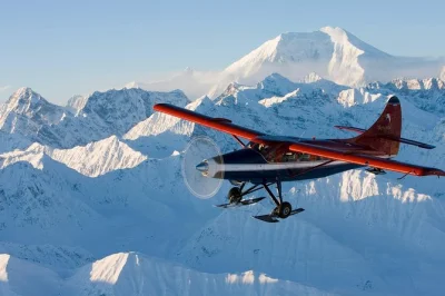 Vuela sobre los glaciares de denali desde talkeetna con piloto experto, recogida en hotel y la oportunidad única de aterrizar en un glaciar.