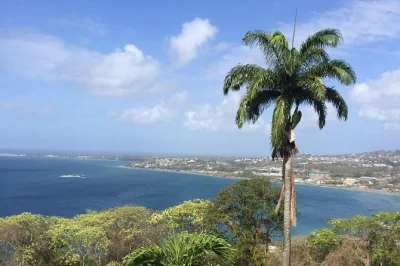 Book a private tobago tour with fort king george, local lunch, boat ride, and snorkeling at pirates bay & lovers bay. all-inclusive, family-friendly day trip.