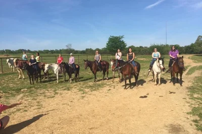 Saddle up for a real memphis horseback trail ride through shelby farms park, spotting wildlife and riding with a local guide. all gear included, morning or afternoon slots.