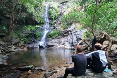 Scopri il lato selvaggio di yanbaru a okinawa con un trekking privato nella giungla, nuota sotto le cascate, gusta il tè nella foresta e esplora con una guida locale madrelingua inglese.